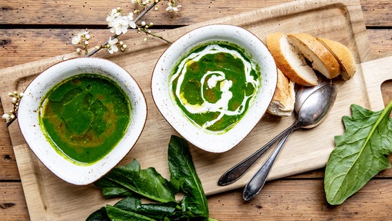 Zwei dekoratoiv angerichtete Schalen mit grüner Suppe. © NDR Foto: Claudia Timmann