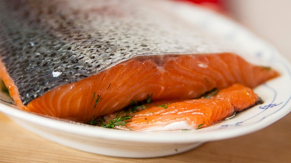 Nahaufnahme von einem gebeitzten Lachs auf einem Teller. © NDR Foto: Claudia Timmann