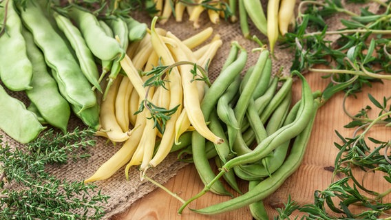 Verschiedene frische Bohnensorten auf einem Holztisch © Fotolia.com Foto: Marek Gottschalk