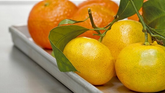 Mandarinen Clementinen Und Co Was Unterscheidet Sie Ndr De Ratgeber Verbraucher
