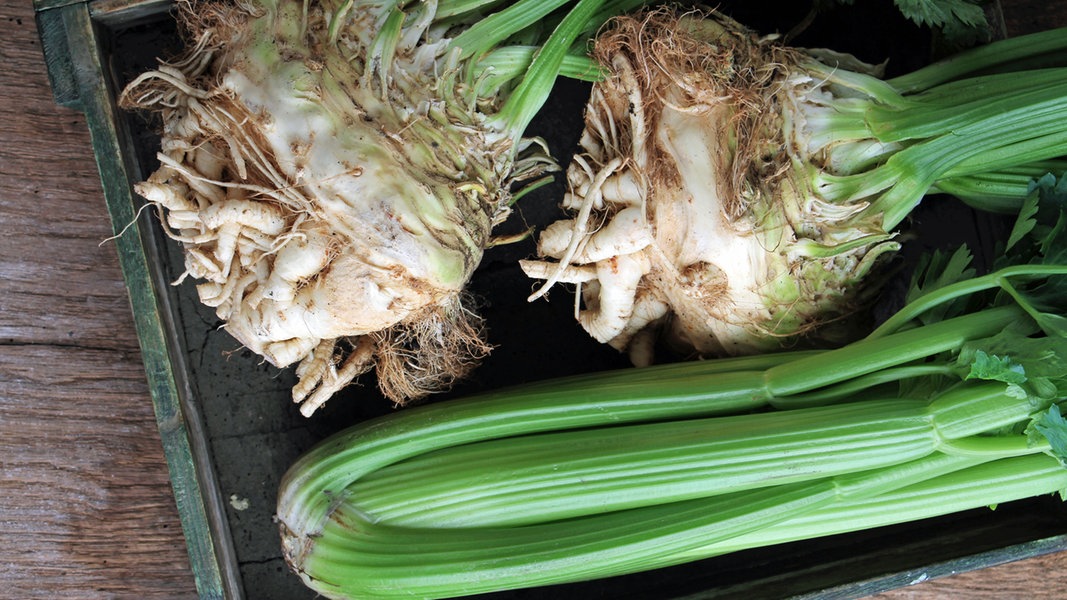 Sellerie: Das regionale Gemüse lecker zubereiten | NDR.de - Ratgeber ...