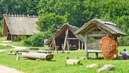 Rekonstruierte steinzeitliche Gebäude auf dem Gelände des Steinzeitparks in Albersdorf. © Steinzeitpark Dithmarschen 