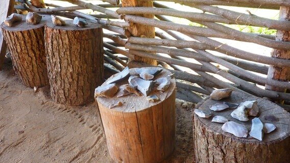 Flintsteine liegen auf Baumstümpfen in einer Hütte des Steinzeitparks Albersdorf © NDR Foto: Irene Altenmüller