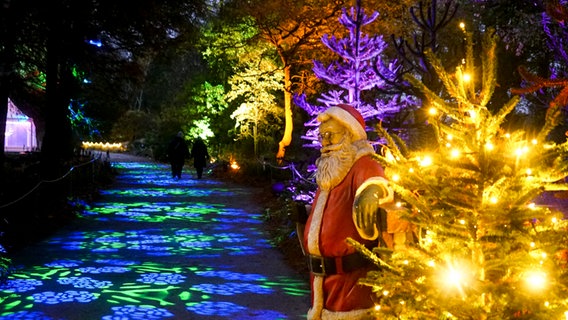 Ein illuminierter Weg im Christmas GArden in Hamburg © picture alliance Foto: ABBfoto