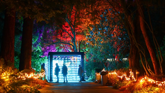 Besucher an einer illluminierten Installation im Christmas Garden in Hamburg. © picture alliance/dpa | Foto: Christian Charisius