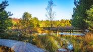 Ein Abschnitt des Wanderwegs  Dör't Moor bei Rotenburg (Wümme) © Touristikverband Landkreis Rotenburg (Wümme) Foto: Björn Wengler