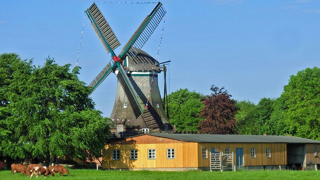 Schwensby Die Schmucke Windmuhle Renata Ndr De Ratgeber