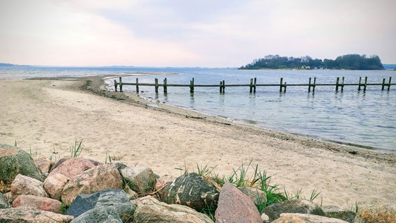 Strand an der Flensburger Förde am Küstenwanderweg Gendarmenpfad in Dänemark. © NDR Foto: Tilmann Bünz