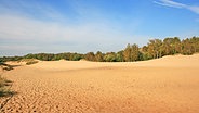 Dünen in der Boberger Niederung in Hamburg © Loki Schmidt Stiftung Naturschutz Hamburg 