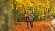 Ein Mann und eine Frau spazieren in Hamburg durch einen Park © picture alliance / dpa Themendienst Foto: Christin Klose