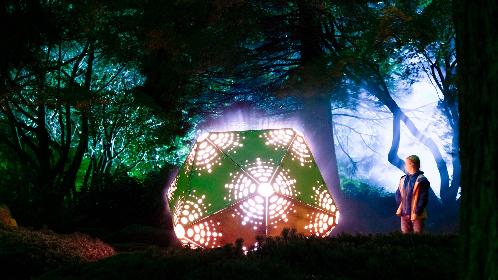 Magie aus Licht und Klang bei Planten un Blomen in Hamburg