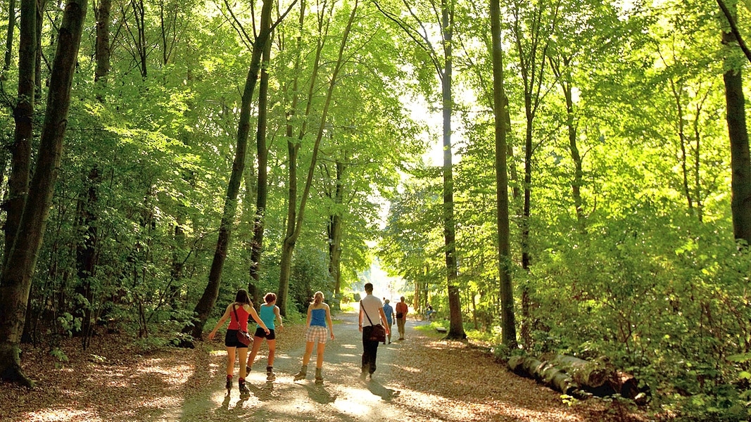 Eilenriede Hannovers großer Stadtwald NDR.de Ratgeber