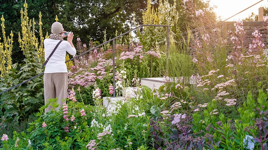 Einladung zum &quot;Rendezvous im Garten&quot; NDR.de Ratgeber