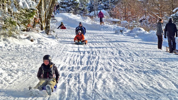 Schlittenfahrer auf der Rodelbahn von Hahnenklee © NDR Foto: Axel Franz