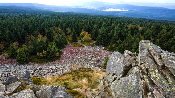 View from the Wolfswarte rock group in the Harz National Park.  © Imago / Zuma Wire Photo: Jannis Grosse