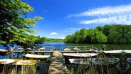 Boote liegen bei schönem Sommerwetter an einem Holzsteg am Ukleisee nahe Eutin. © picture-alliance / DUMONT Bildarchiv Foto: Katja Kreder