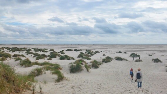 Besucher auf dem Kniepsand auf Amrunm © NDR Foto: Irene Altenmüller