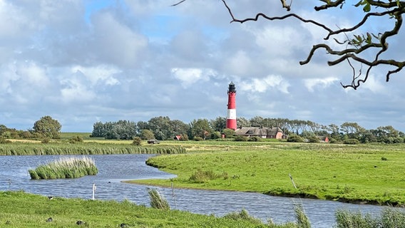 Blick auf den Leuchtturm auf der Insel Pellworm im Sommer. © NDR Foto: Elke Janning