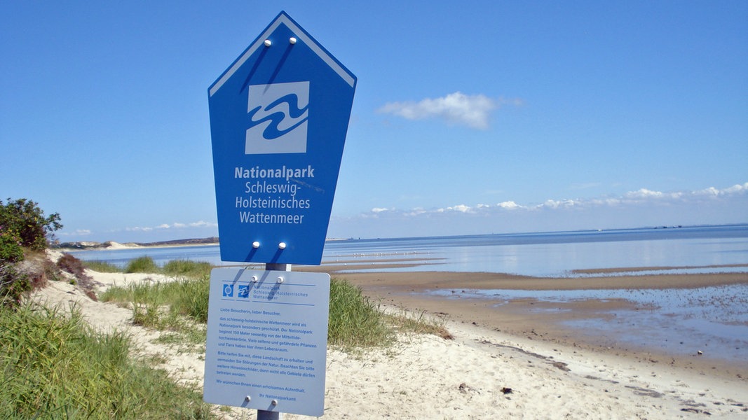 Das Wattenmeer Der Grosste Nationalpark Ndr De Ratgeber Reise Nordseekueste Sh