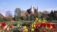 Blick auf den Dom in Bardowick, davor ein Beet mit blühenden Dahlien © imago images / Shotshop 