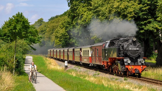 Die Bäderbahn Molli in Fahrt, daneben ein Radfahrer. © MBB Molli GmbH 