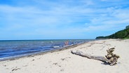 Strandgut und Badende an einem Naturstrand bei Groß Schwansee im Klützer Winkel © NDR Foto: Irene Altenmüller