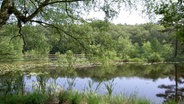 Wienpietschseen im Müritz-Nationalpark © Nationalparkamt Müritz Foto: Johanna Dahlmann