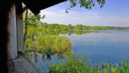 Blick auf den Warnkesee im Müritz Nationalpark © imago/alimdi 