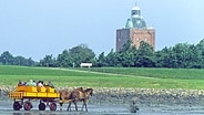 Ein gelber Wattwagen vor dem Leuchtturm der Insel Neuwerk © imago/blickwinkel Foto: F.  Hecker