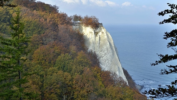 Kreidefelsen auf der Insel Rügen © imago/Schöning 