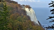 Kreidefelsen auf der Insel Rügen © imago/Schöning 