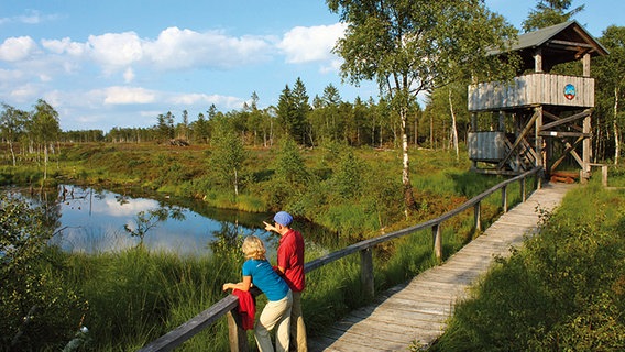 Zwei Wanderer schauen von einem Holzsteg auf das Hochmoor Mecklenbruch im Solling. © Weserbergland Tourismus e.V. Foto: Weserbergland Tourismus e.V.