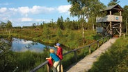 Zwei Wanderer schauen von einem Holzsteg auf das Hochmoor Mecklenbruch im Solling. © Weserbergland Tourismus e.V. Foto: Weserbergland Tourismus e.V.