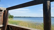 Blick auf den Schaalsee von einem Hochstand zur Vogelbeobachtung in Zarrentin. © NDR Foto: Kathrin Weber