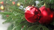 Rote Kugeln hängen an einem Weihnachtsbaum. © Fotolia.com Foto: Barbara-Maria Damrau