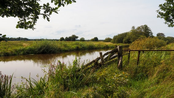 Blick auf die Beek im Teufelmoor am Breiten Wasser. © NDR Foto: Anja Deuble