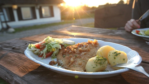 Panierte Scholle liegt mit Kartoffeln und Salat auf einem Teller, im Hintergrund geht die Sonne unter. © picture alliance / augenklick/firo Sportphoto | firo Sportphoto 