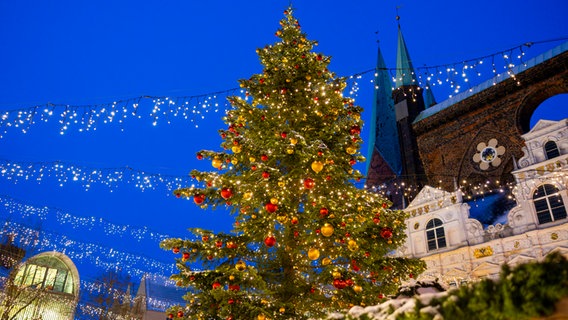 Ein großer Weihnachtsbaum auf  dem Weihnachtsmarkt in Lübeck. © LTM 