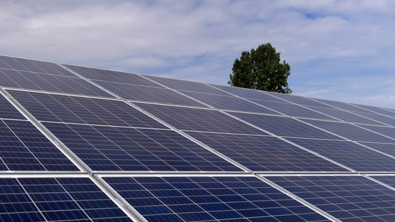 Ein Solarpark mit den PV-Modulen im Unterallgäu am 26. August 2020. © picture alliance Foto: M.i.S.-Sportpressefoto