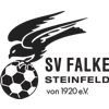 SV Falke Steinfeld