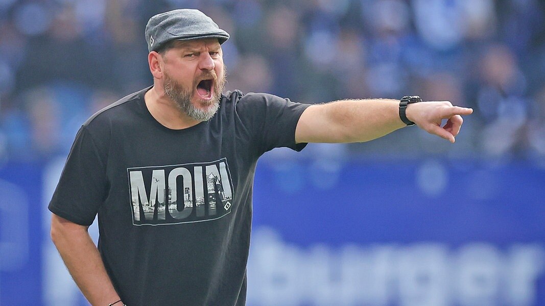 Trainer Steffen Baumgart vom Hamburger SV 