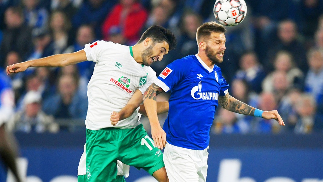 Werder Bremen Gegen Schalke wieder in der Spur? NDR.de