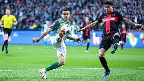 Bremens Rafael Borré (l.) und Leverkusens Piero Hincapié kämpfen um den Ball. © IMAGO / RHR-Foto 