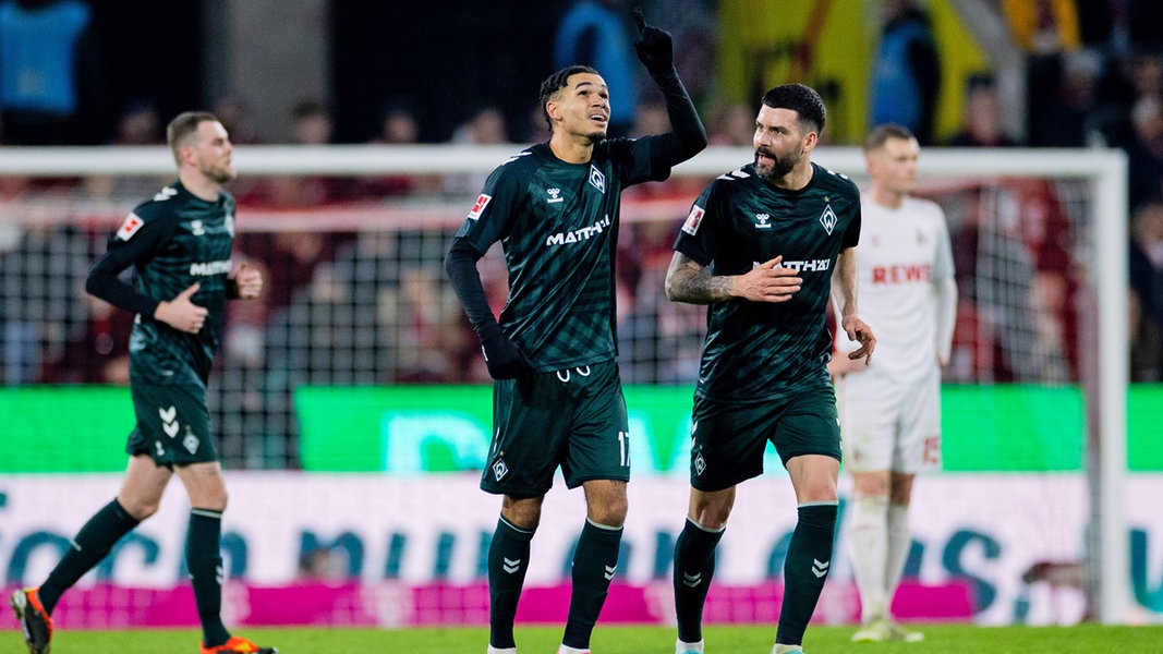 Njinmah marque après l’erreur de Schwäbe : le Werder Brême gagne à Cologne |  NDR.de – Sports