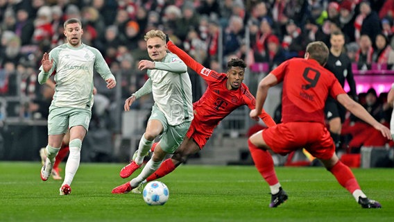 Bremens Amos Pieper (m.) im Zweikampf mit Münchens Kingsley Coman © Imago Images 