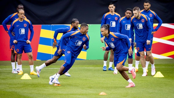 Die Nationalmannschaft der Niederlande beim Training © picture alliance / ANP | Koen van Weel 