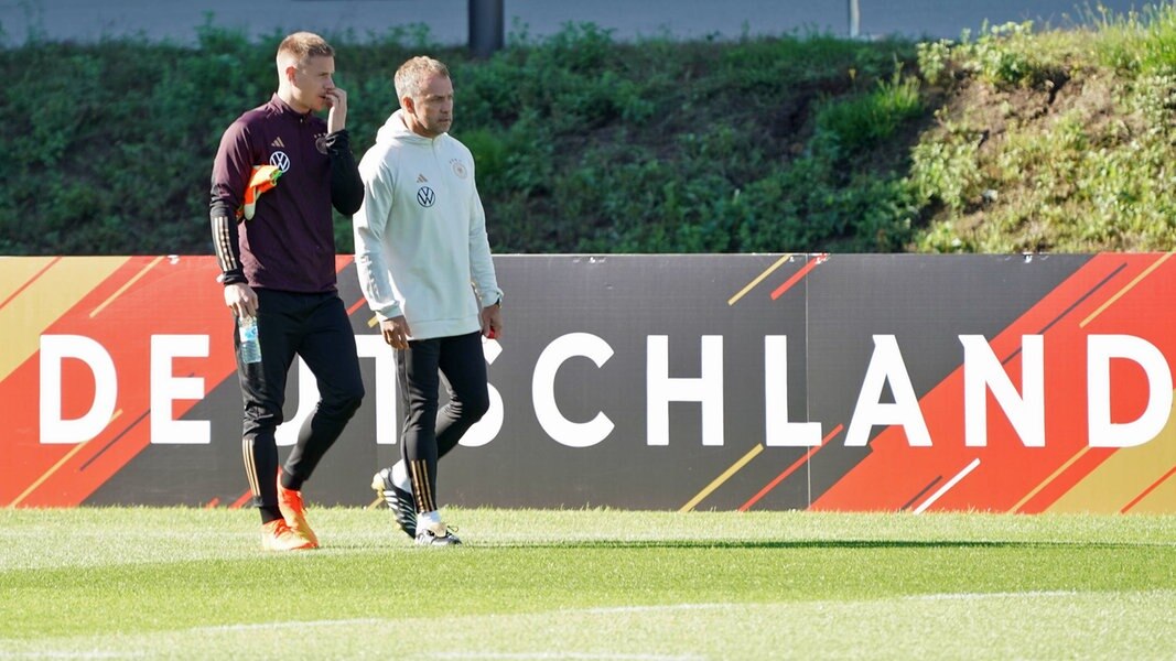 DFB-Team: Ter Stegen Die Nummer Eins, Flick Unter Druck | NDR.de ...