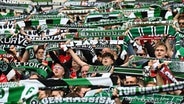 Fans von Hannover 96 halten Schals hoch. © picture alliance/dpa | Carmen Jaspersen 