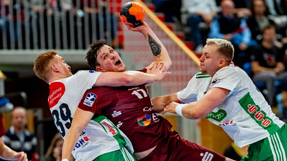 Szene aus dem Spiel 1. VfL Potsdam (rot) gegen die TSV Hannover-Burgdorf © picture alliance/dpa Foto: Julius Frick