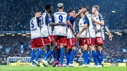 Die Spieler vom Hamburger SV bejubeln ein Tor gegen Hertha BSC. © Witters 
